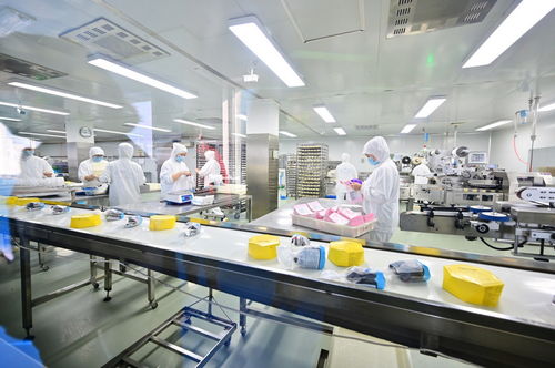 餐桌上的安全衛士 走進沈陽綠色工廠，揭秘食品產業的生產革命